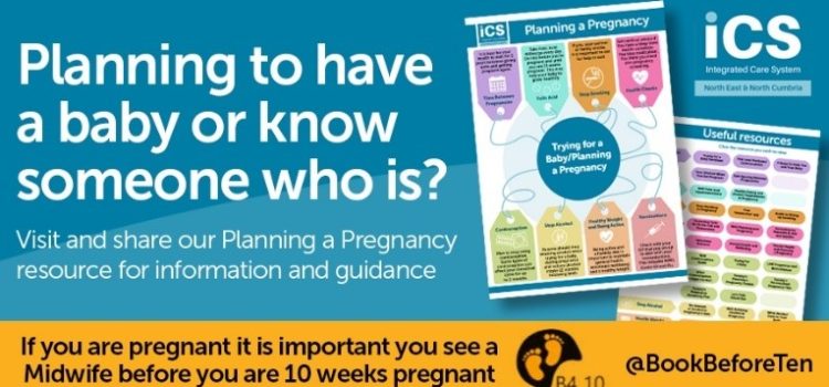 Planning a Pregnancy
